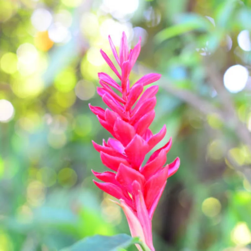 

Metal Stainless Steel Chassis Armor Protection Protector Skid Plate for Arrma 1/8 Mojave 4S 4X4 RC Car Upgrade Parts