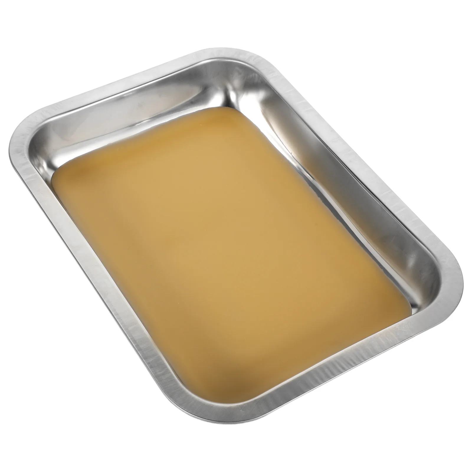 

Stainless Steel Dissecting Tray Lab Grade Metal Dissection Pan For Biology Experiment Teaching Tools Small Wax Tray