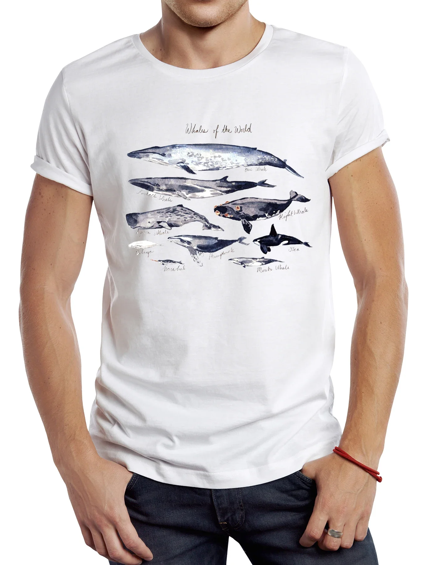 TEEHUB-T-shirt graphique vintage pour homme, baleine du monde, animal océanique, requin, grill de sport, requin de mer rétro, t-