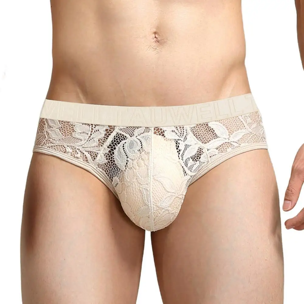 Mens Sexy Lace Transparent Briefs Mesh See Through Underpants 2024 New Men Underwear Briefs Breathable Lingerie Panties