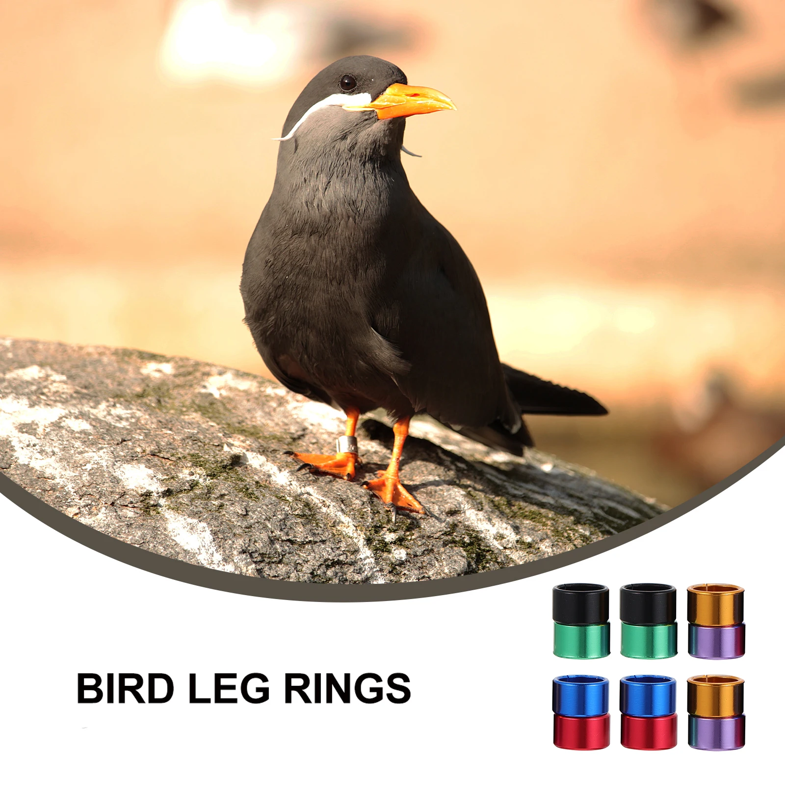 

12pcs Durable Metal Poultry Foot Rings Birds Chickens Pigeons Smooth Comfortable Easy Identification Long Lasting Resistant Cold