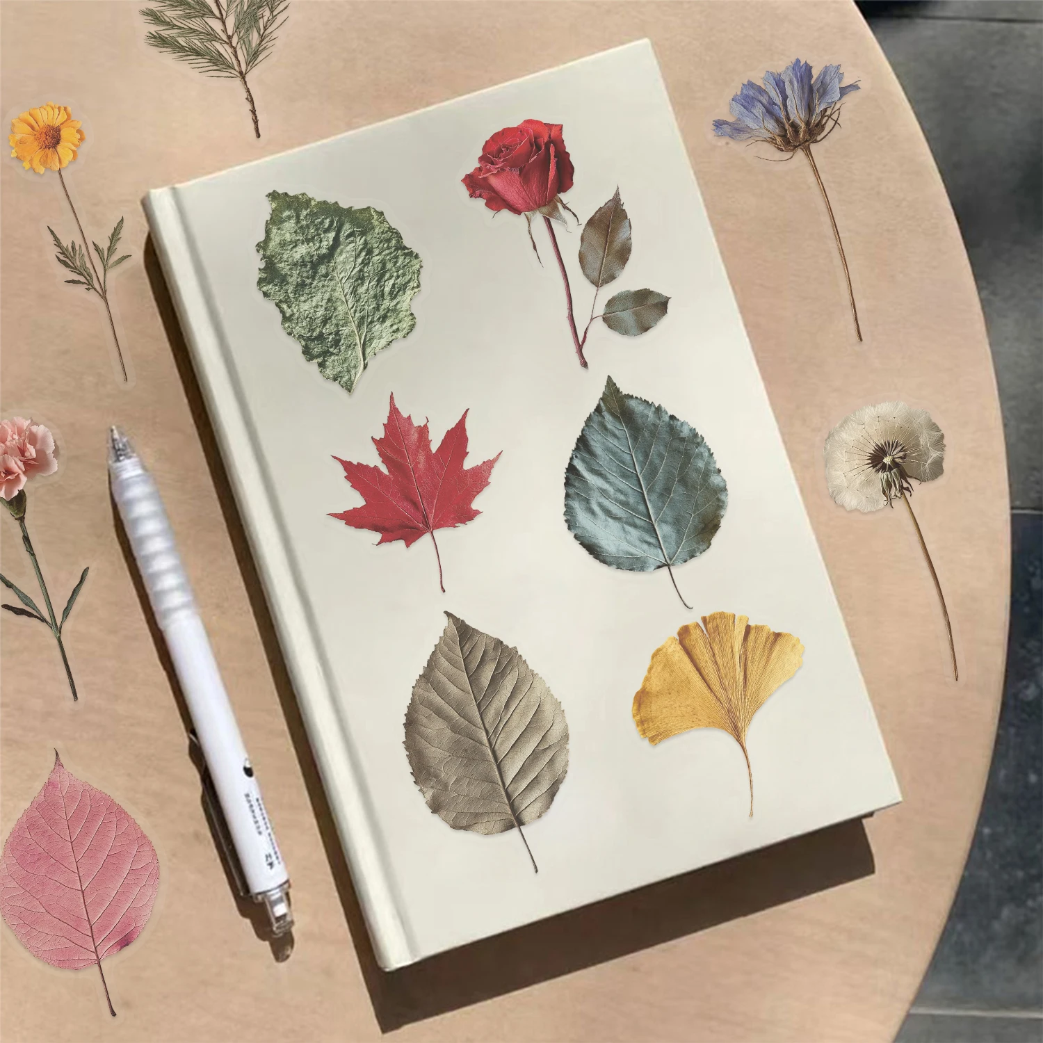 50Pcs Cute Plant Transparent Stickers Plant Specimen Decals Phone Case Notebook Skateboard Motorcycle Sticker Toy