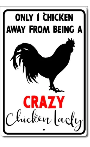 Chicken Lady Sign Crazy Lady Metal Vintage Area Patrolled Tin METAL SIGN CAUTION