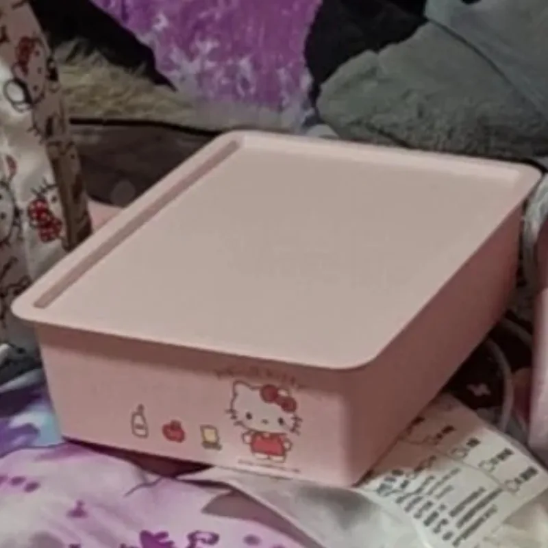 Sanrio My Melody Large Capacity Bra Panties Organizer HelloKitty Stackable Lid Grid Cartoon Dorm Essential Space Saver Toys - view 6