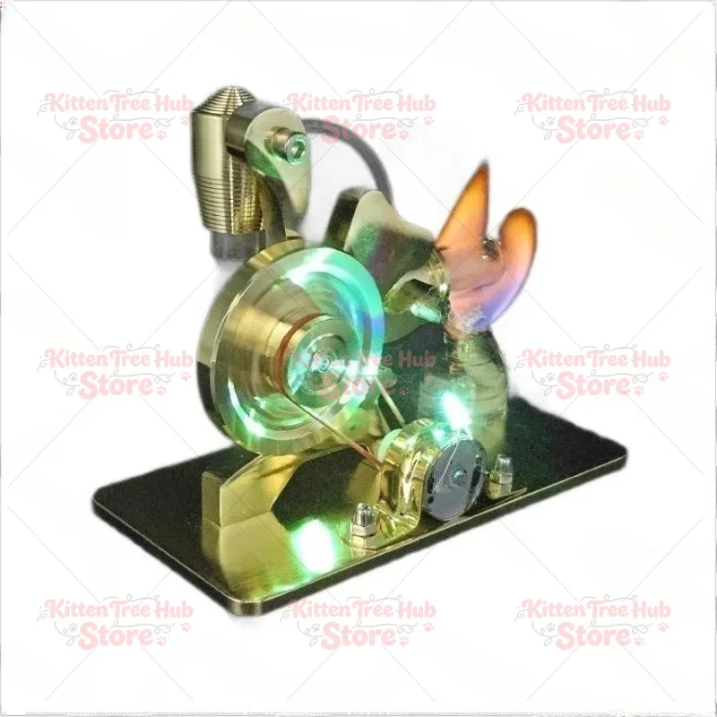 Squirrel Modeling Models, Science and Physics Experiments