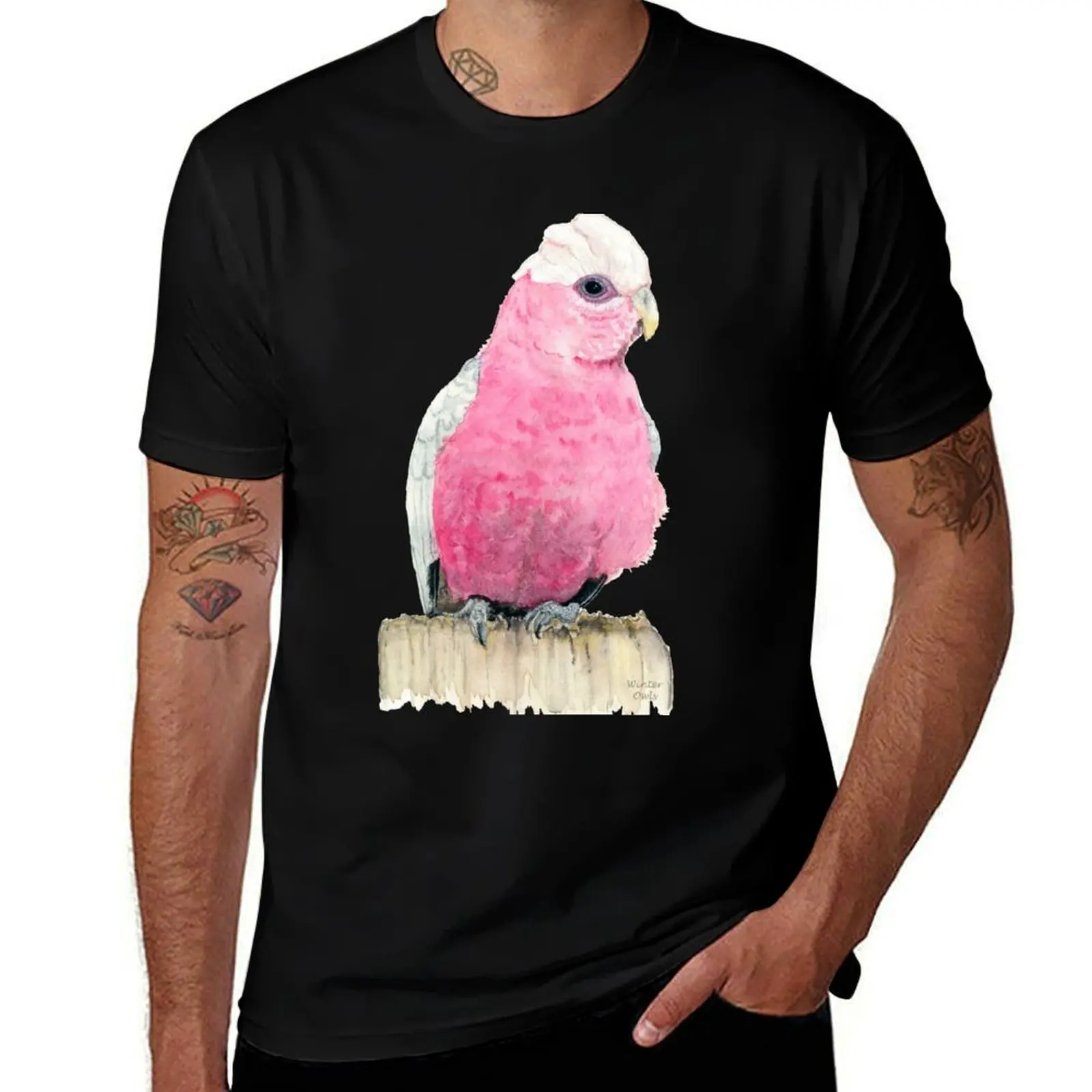 Pink Galah Watercolour Painting, Australian Native Bird Art T-Shirt essential t shirt T-Shirt