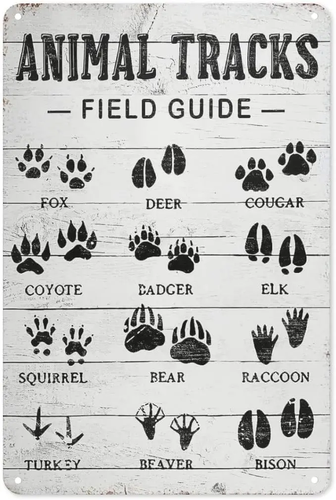 Animal Tracks Field Guide Sign Log Cabin Wall Decor, Forest Hunting Decor, Boy Nursery Decor 8 x 12 Inch