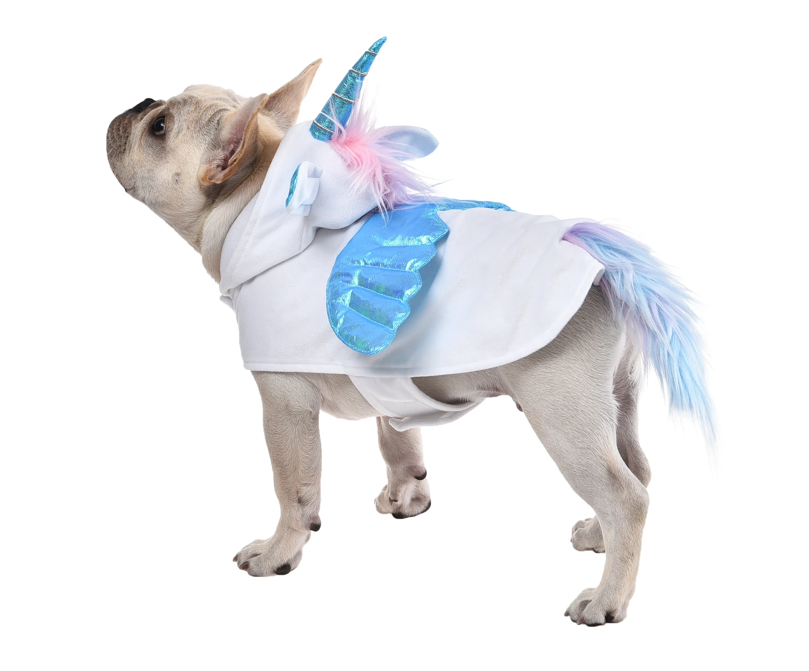 Qs Wholesale Rainbo… - image