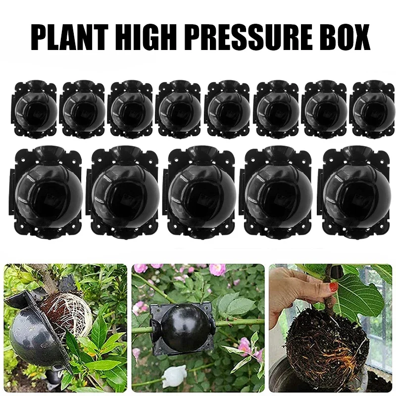 

10/20Pcs Plant Rooting Growing Ball Grafting Root Box Nursery Tray Breeding Tree Seeding Graft Case Garden Planting Tools