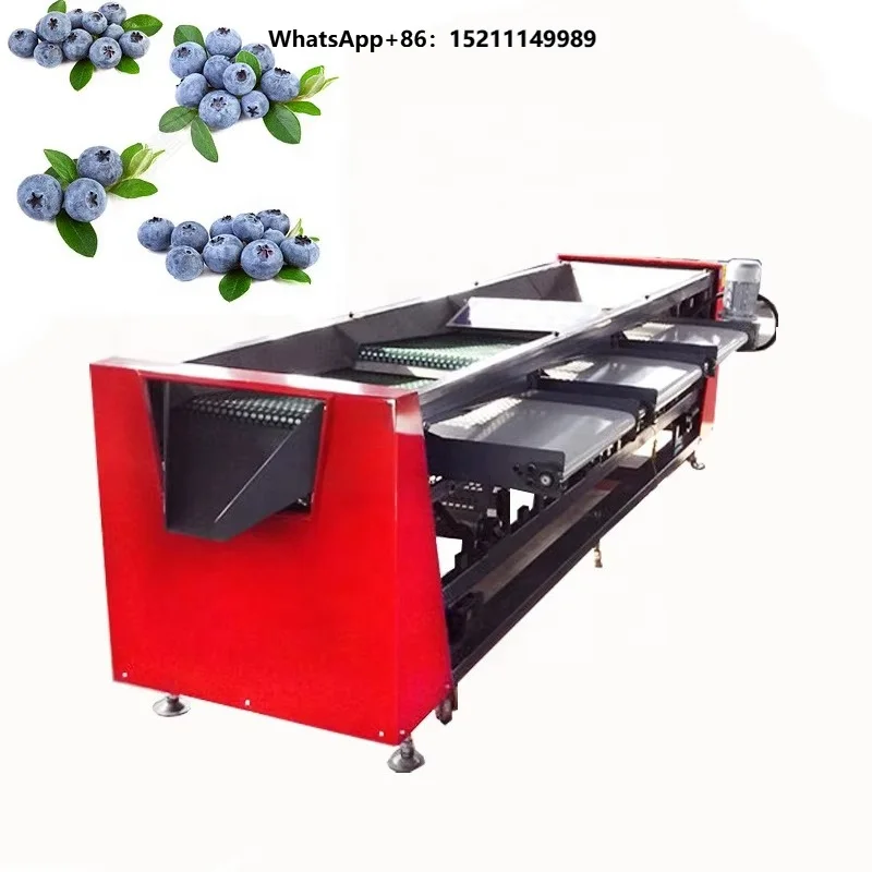 Factory Price Automatic Fruit Blueberry Sorting  Potato Tomato Orange Avocado Onion Grading Washing Size Weighing Machine