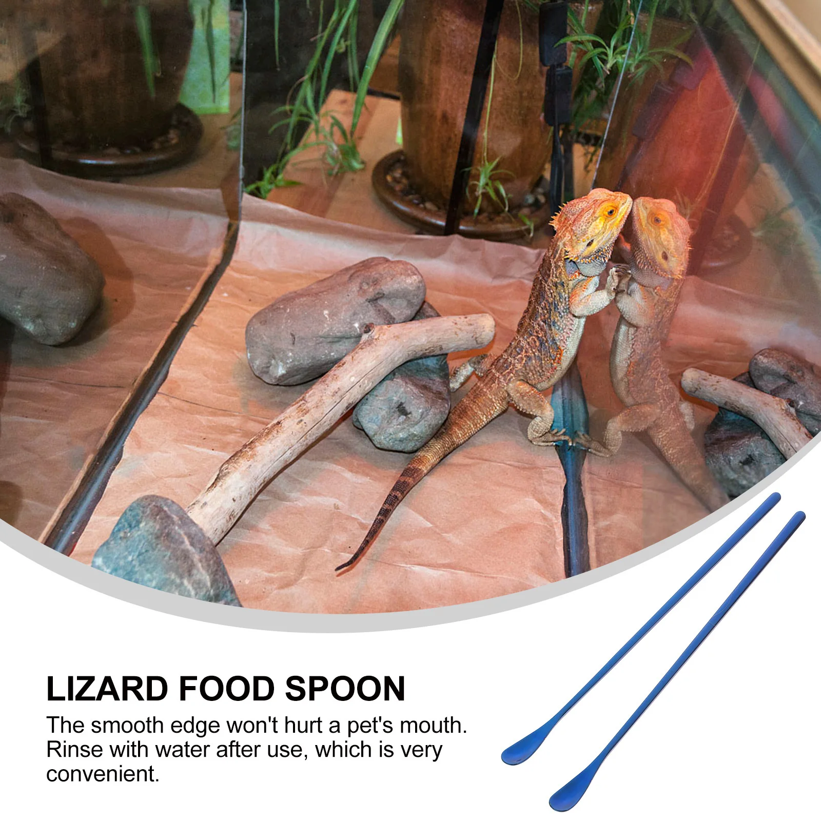 

2Pcs Long Handle Reptile Feeding Spoon Food Scoop Tool for Lizards Small Animal Fruit Mixing Scoop Lizard Food Spoon