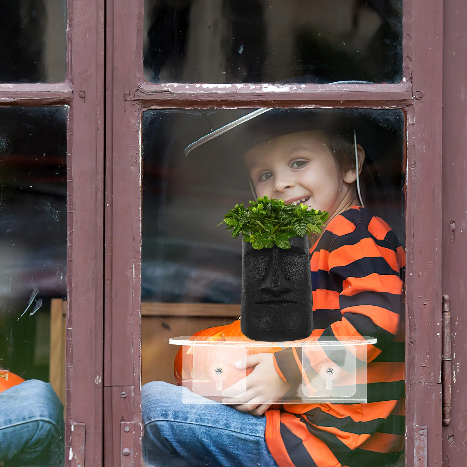 Zuignap Raamplank Transparant  - Food Storage In Plants recensie en prijs
