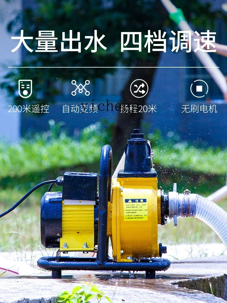 Рисунок 2 - ZF водяной насос для сельскохозяйственного орошения