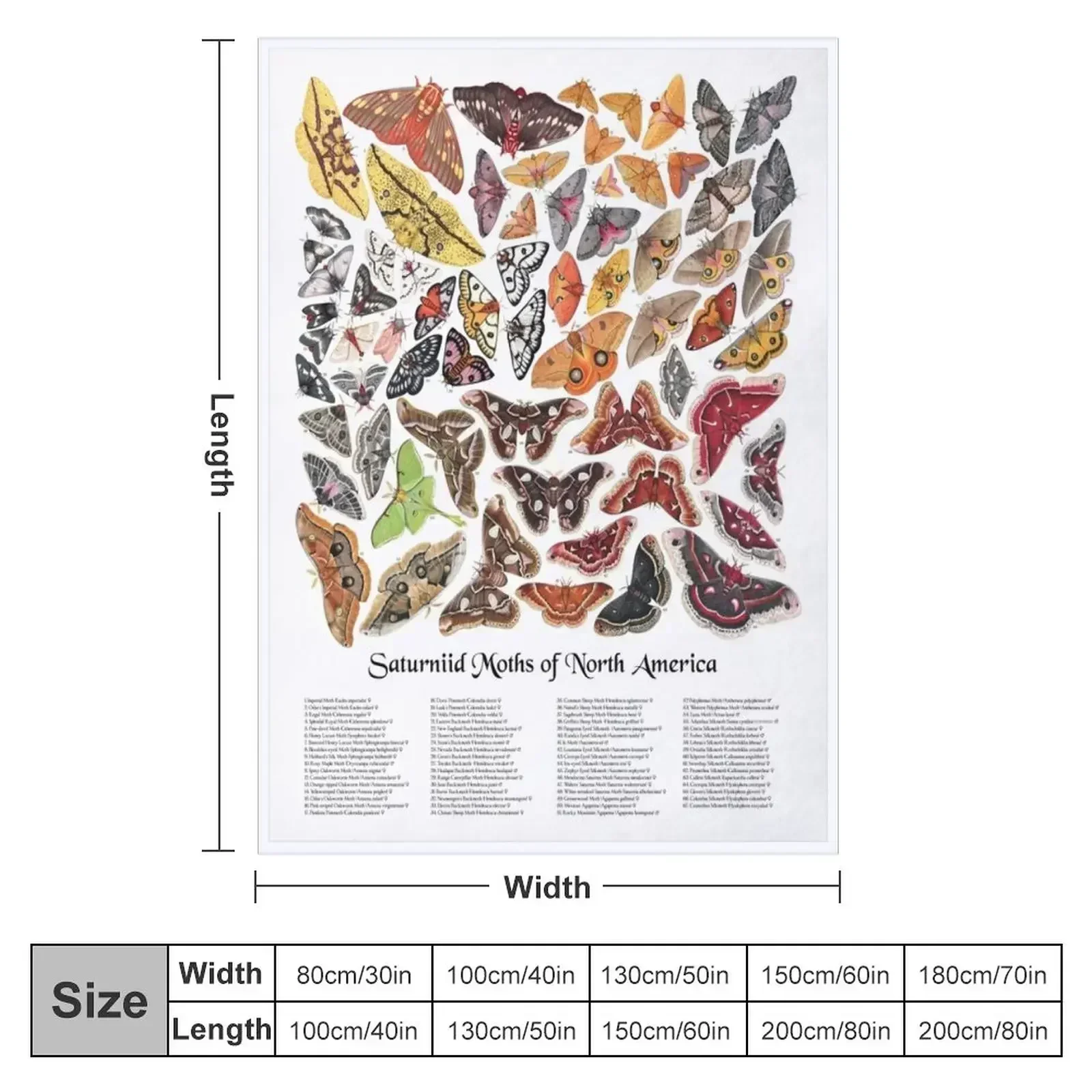 New Saturniid Moths of North America Throw Blanket Blankets Sofas Of Decoration Thin Softest Camping Blankets