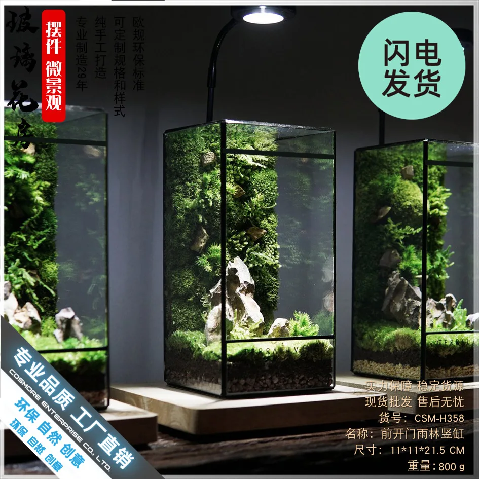 Geometric glass flower room small living room ecological desktop landscaping tank mini rainforest box moss micro landscape