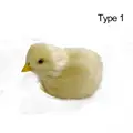 type 1