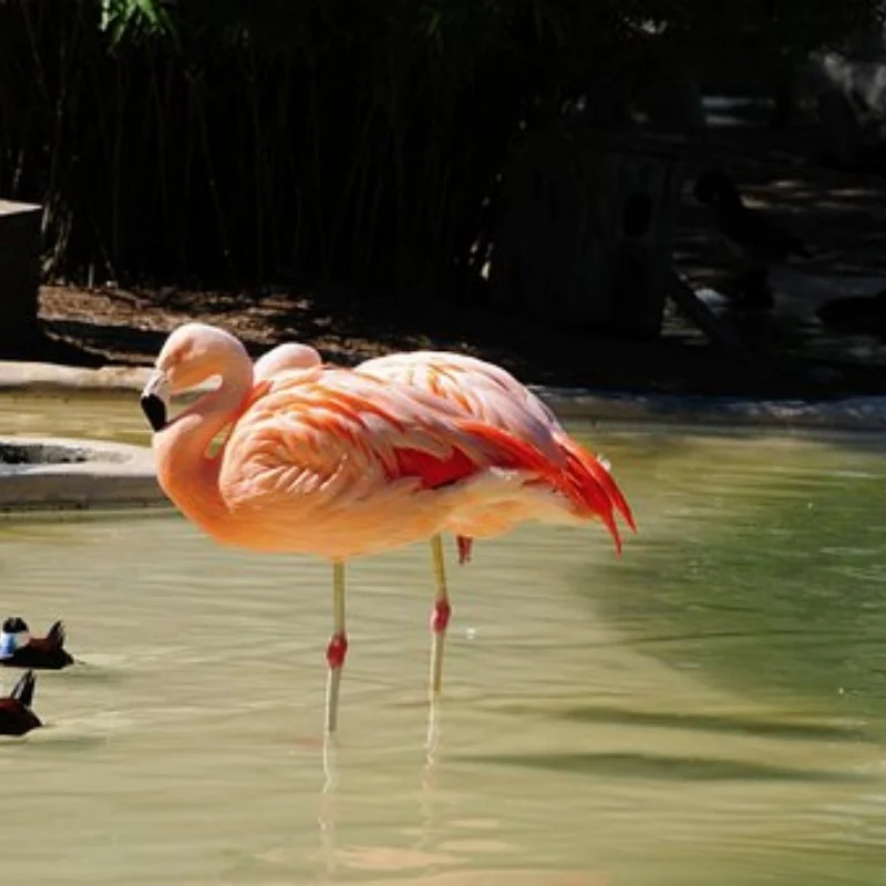 

4 шт., алюминиевый 2,2-дюймовый RC обод колеса с бисером, шестигранный, подходит для TRX4 TRX6 SCX10 90046 RR10 Wraith 1/10, RC гусеничный автомобиль