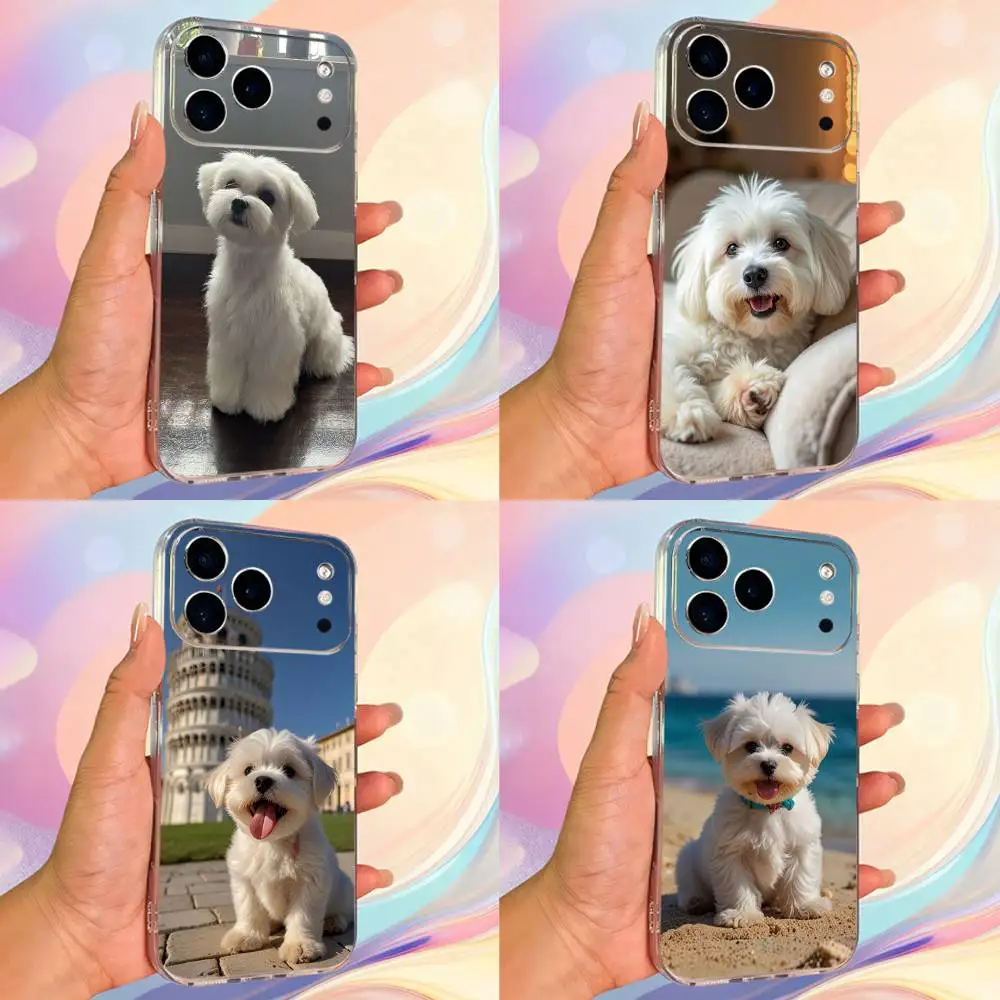 

Cute Pet Maltese Dogs Phone Case For iPhone 14,13,12,11,17,16,15,Pro,Max,Plus,X,XS,XR,SE,Mini Transparent Soft Cover