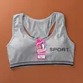 1PC Gray Bra