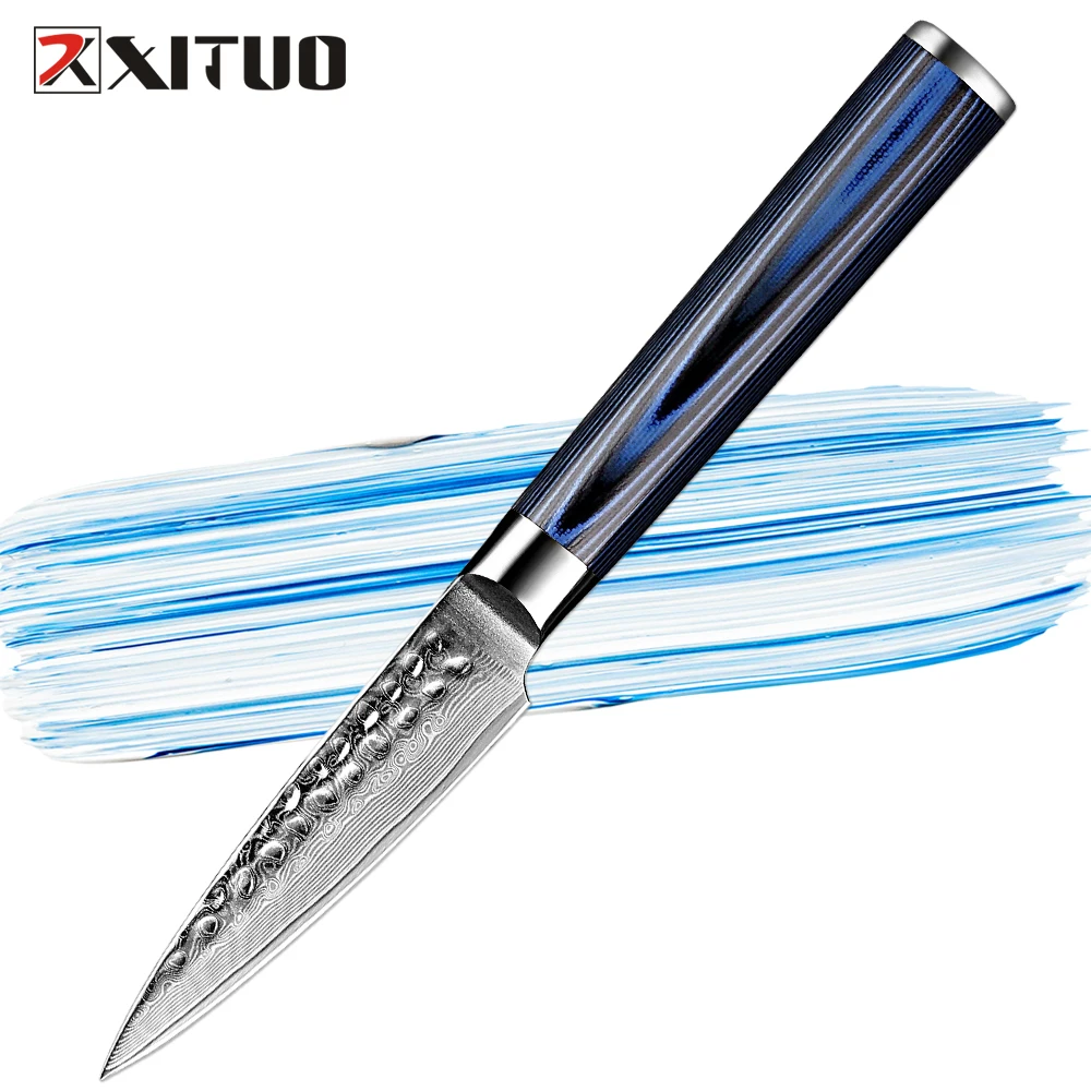 

Damascus Paring Knife Fruit Knife 3.5 Inch Pro Kitchen Knife Japanese Damascus High Carbon Steel 67-Layer Fruit Carving Knife