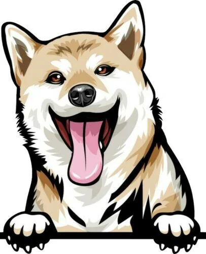 

For SHIBA INU DOG Peeking Breed Color Wall Window Laptop Sticker w/proof