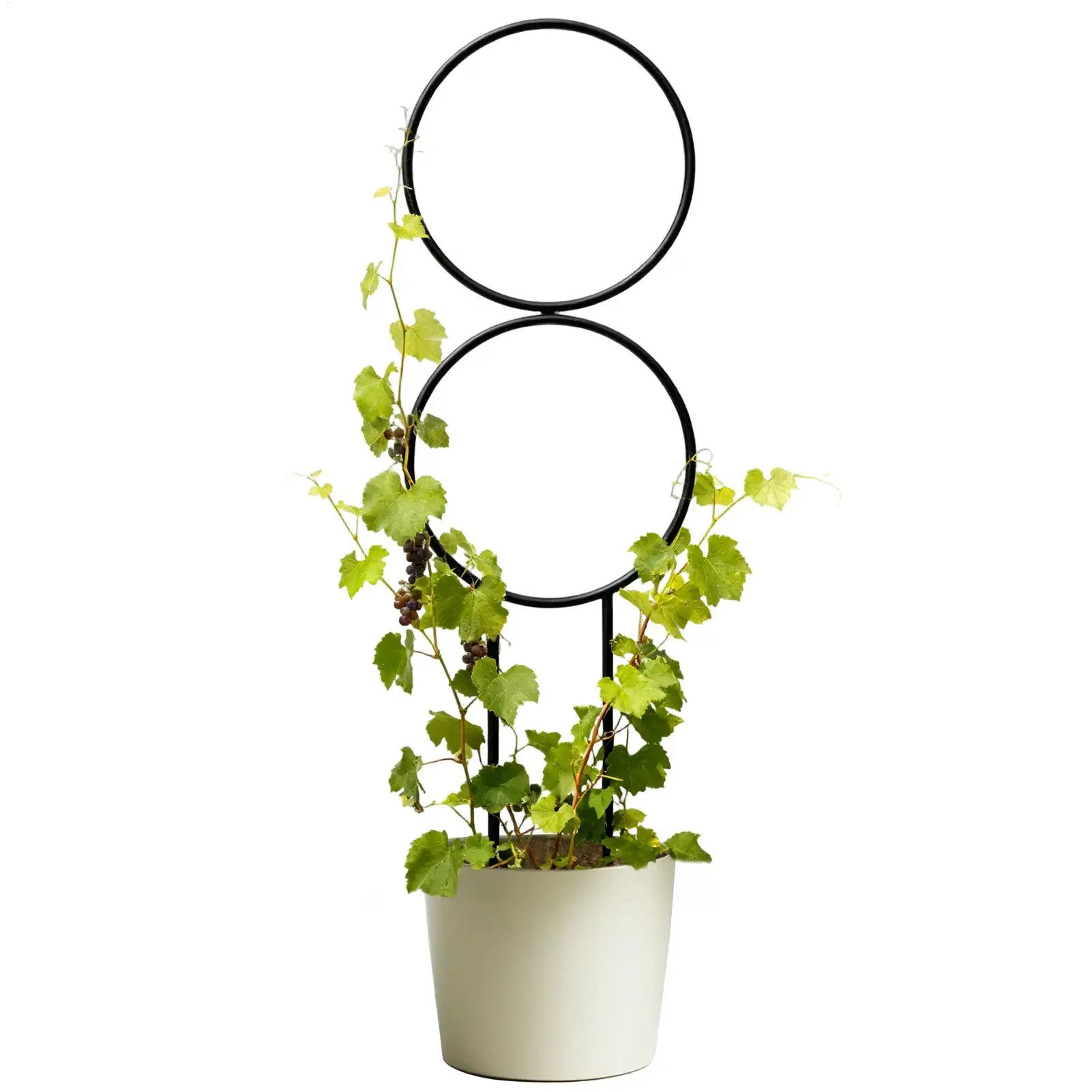 Trellis for Potted Plants Metal Adjustable Support Stake Metal Plant Trellis for Indoor Outdoor Home Wedding Gardening Vegetable