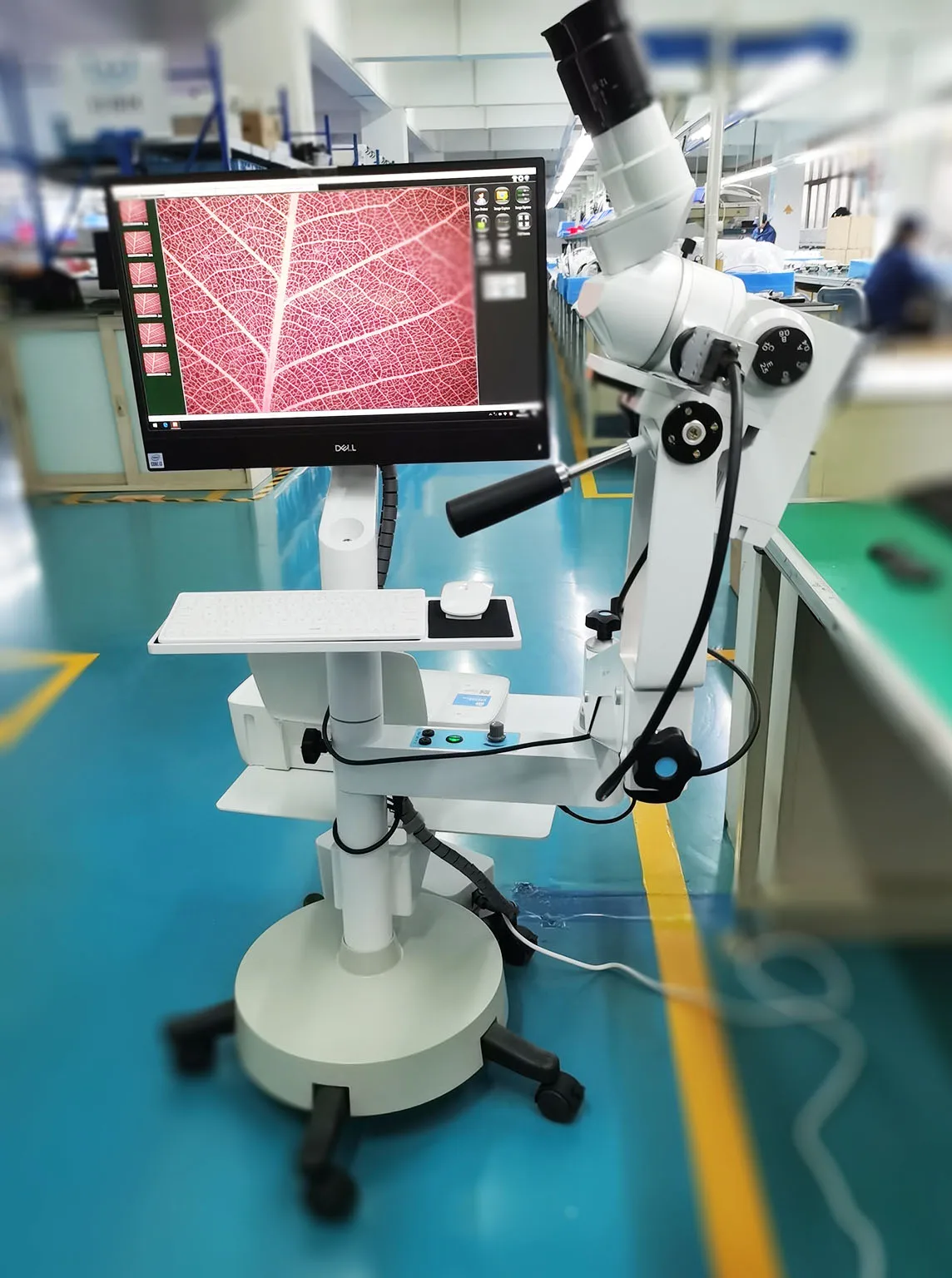 

Factory Supply Optical Binocular Colposcope KN-2200BII for Gynecological Cervix Examination
