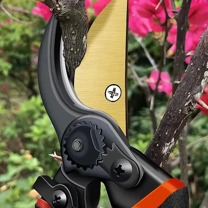 10 Inch Golden Eagle Beak Fruit Tree Pruning Shears, Rough Branch, Energy Efficient Flower Gardening, Home Use