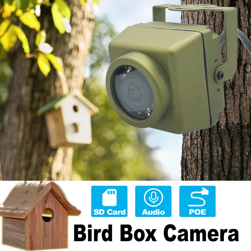 RTMP Bird Box Camera Kit Birdcage 5MP Night Vision Waterproof Outdoor Wifi Mini IP Audio Pet Nest Watching Webcam for YouTube