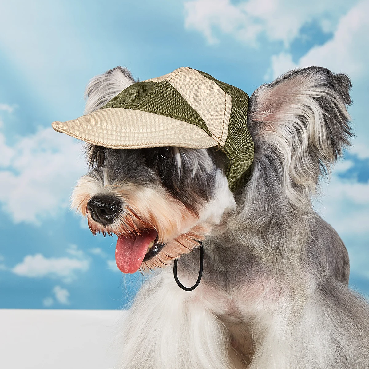 Hundehut Sonnenschutz Sommer Reise für Kleine Mittelgroße Hunde Chihuahua Französische Bulldogge