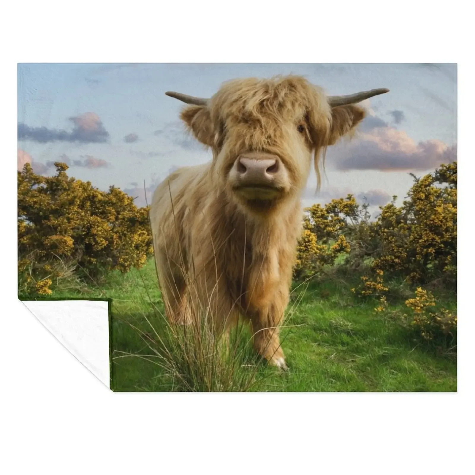 

Young Highland Cow Throw Blanket Flannels Soft Plush Plaid Flannel Fabric Designers Blankets