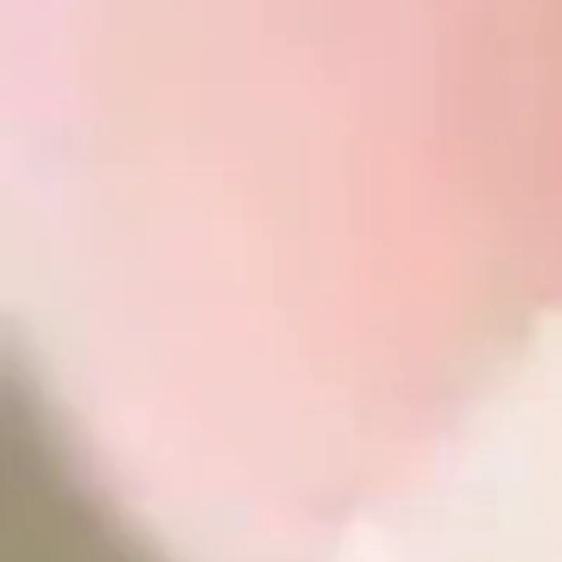 لعبة خنازير كهربائية مقلدة من القطيفة الواقعية يمكن المشي على النباح ألعاب الحيوانات الأليفة الإلكترونية هدايا لطيفة للأطفال #1