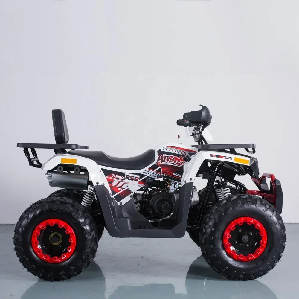 Atv 200cc 4-Stroke Automatic Quad Bike Off Road 4 Wheels Motorcycle Electric Start Utv Chain Drive Rear Disc Brake 10inch Tire