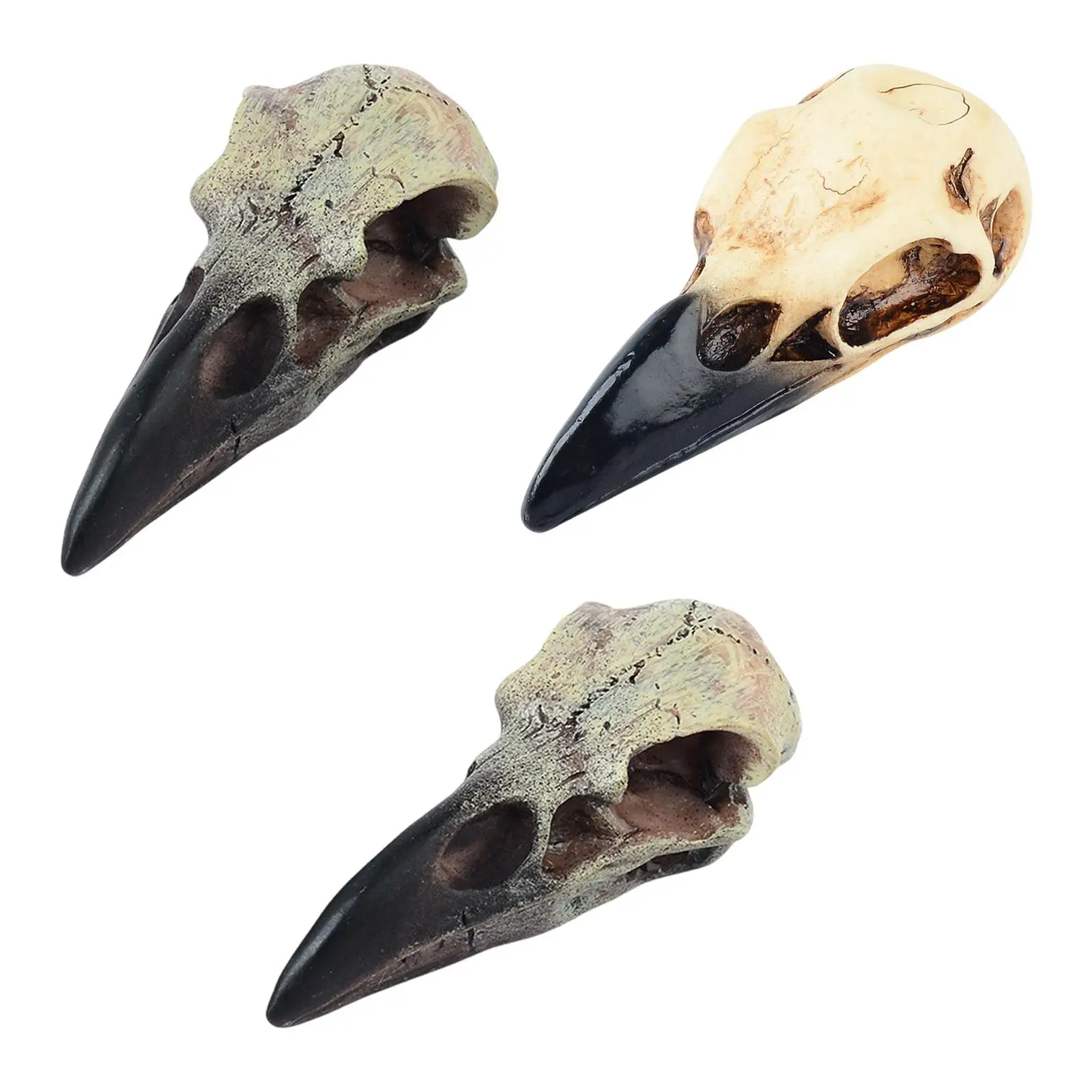 Halloween Raven Skull Figurine Wall Sculpture Pendant Raven Skull Ornament Decor for Party Window Sill Desk Holiday Tabletop