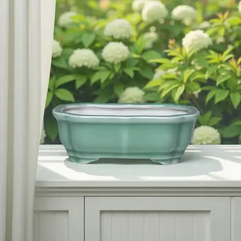 10 best sales עציץ בונסאי גדול - №8