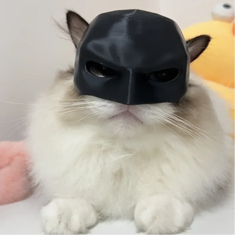 Katzen-Fledermaus-Maske, schwarze Fledermaus, niedliche matte Katzenmaske für Katzen, cooles Haustierspielzeug, Heimtierbedarf ﻿ Kostümzubehör