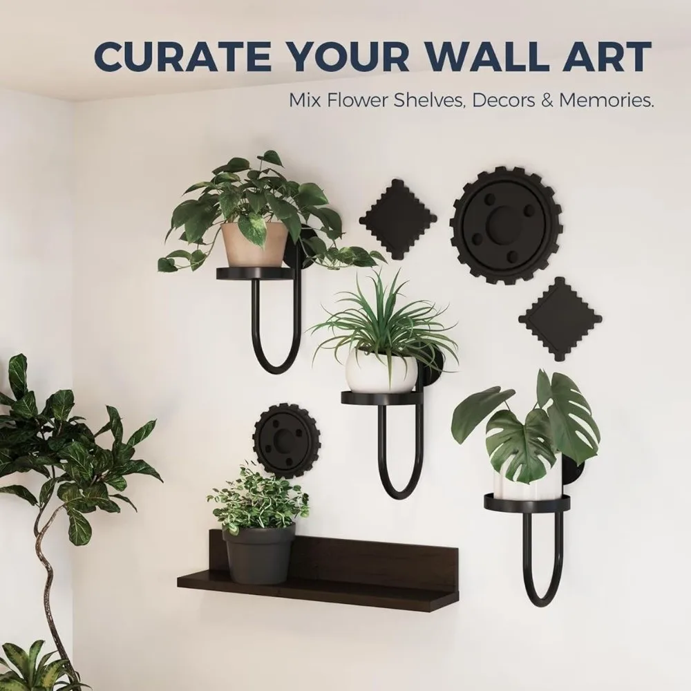 Sturdy Iron Wall Mounted Plant Holder Bonsai Hanging Space Saving Metal Flower Shelf Wall Art Black Hanging Plant Stand