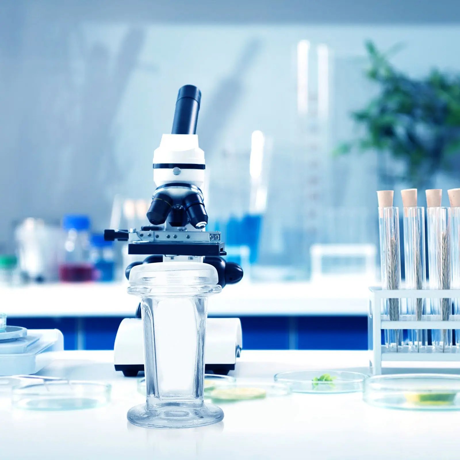 جرة تلطيخ الزجاج ملحقات التجارب العلمية خزان المختبر غطاء دائري مجهر للمختبرات