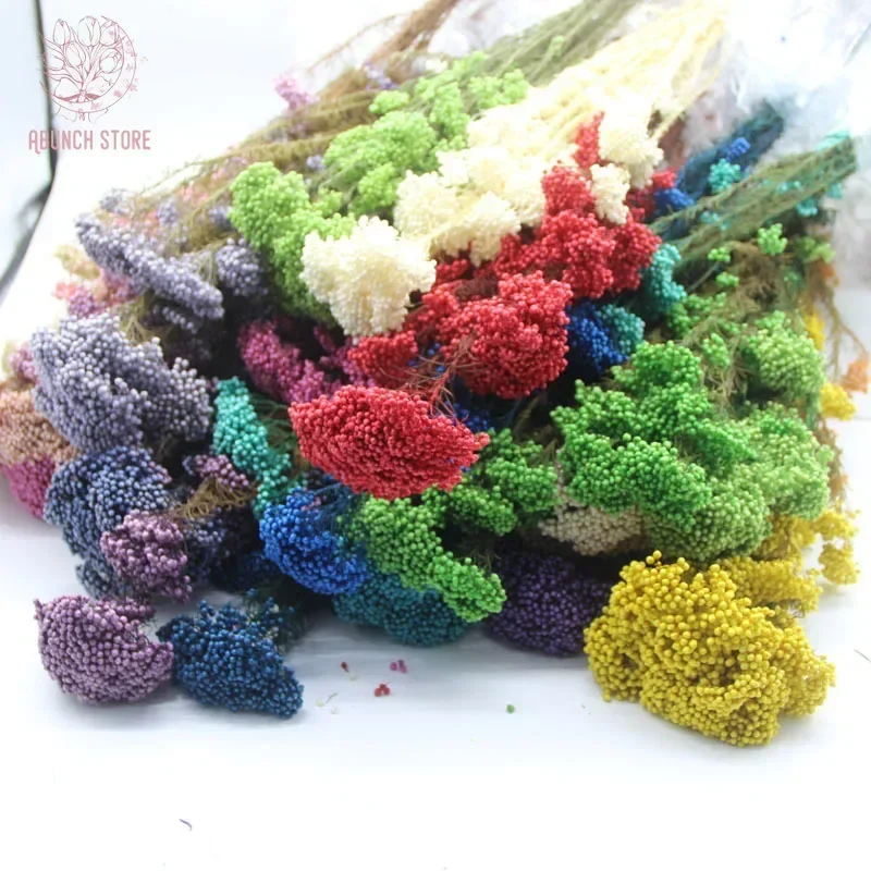 

30g Natural Rice Millet Flower Dry Flower Bouquet Wedding Boho Home Decor Preserve Flowers Party Christmas Accessory Decoration