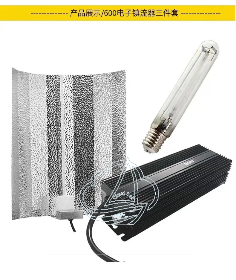 Three-Piece Set Of Hps-600w Electronic Ballast For Plant Growth Lamp