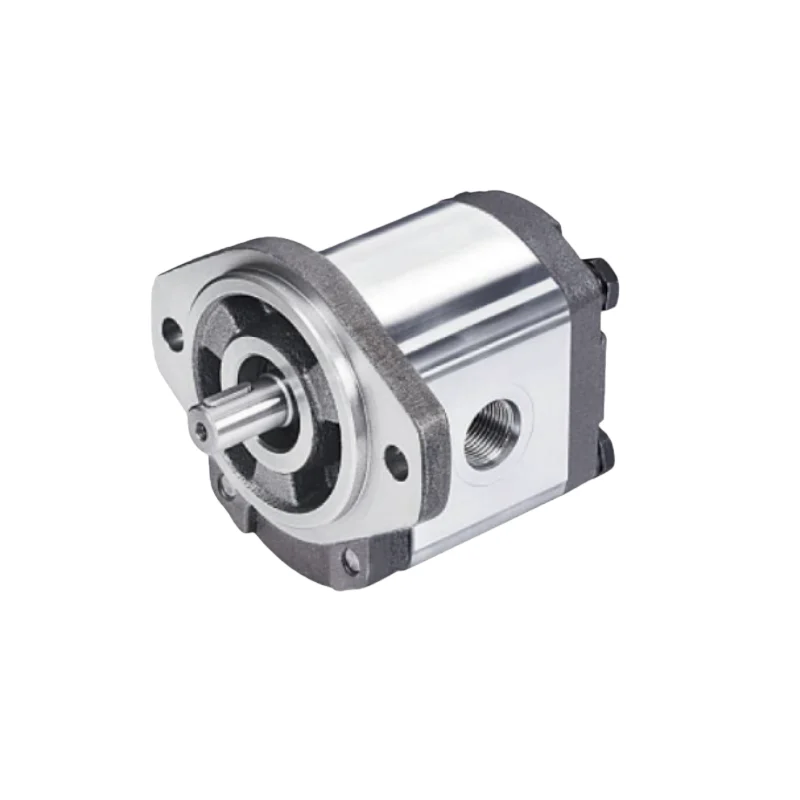 

Brand New Genuine Gear Pump 2GG1B20R 2GG1B22R 2GG1B24R 2GG1P22R 2GG1P26R 2GG1B26R 2GG1P28R 2GG1B28R 2GG1P30R 2GG1B30R