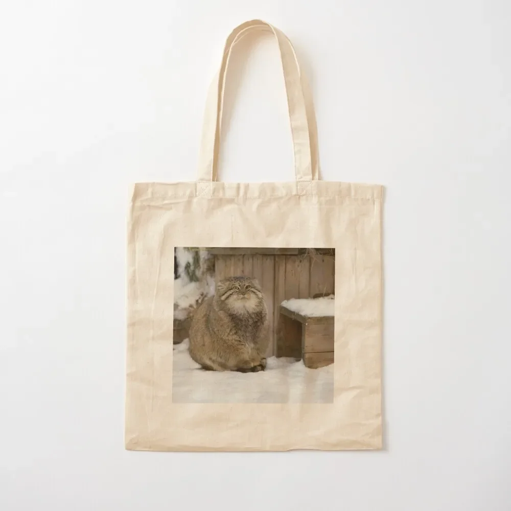 

Zelenogorsk the Pallas's cat is warming his paws on a tail Tote Bag Woman shopper bag great bag