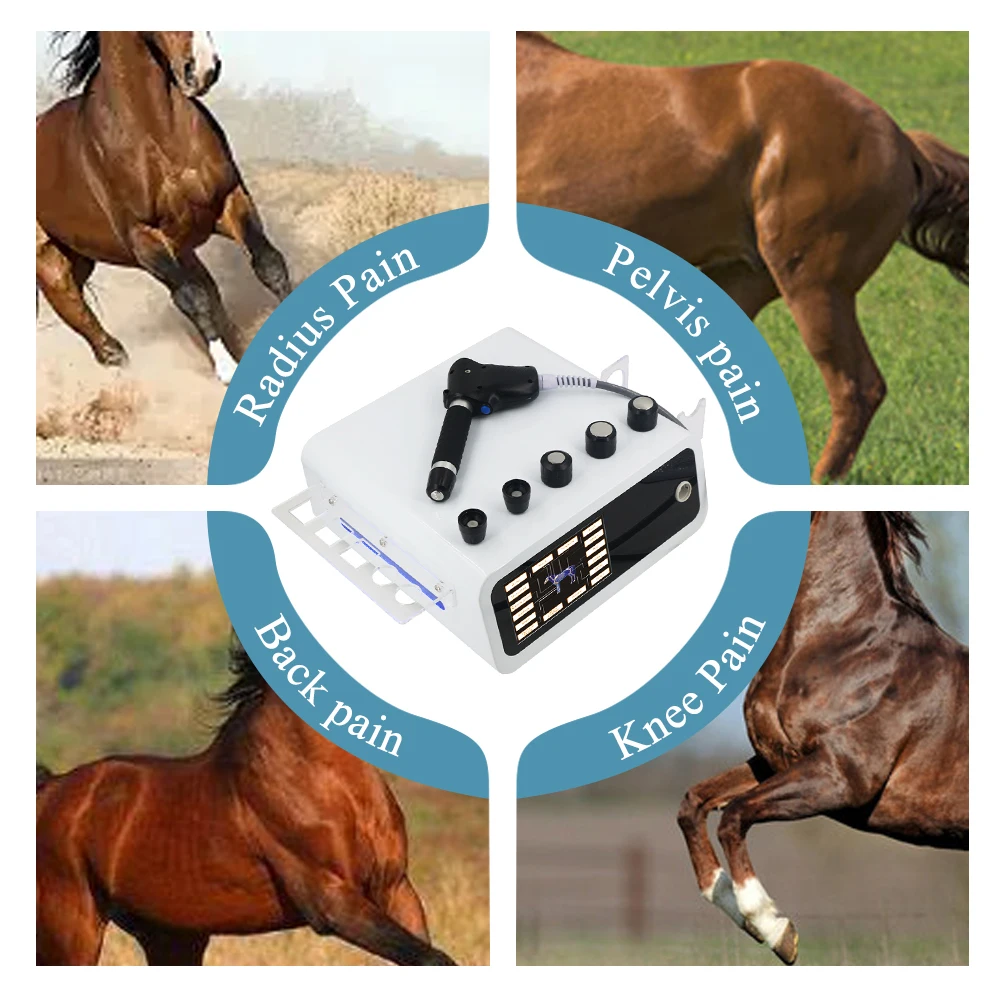 Nova máquina pneumática de ondas de choque 10bar para alívio da dor e tratamento de lesões de tendão animais profissionais massageador de ondas de choque uso de cavalo