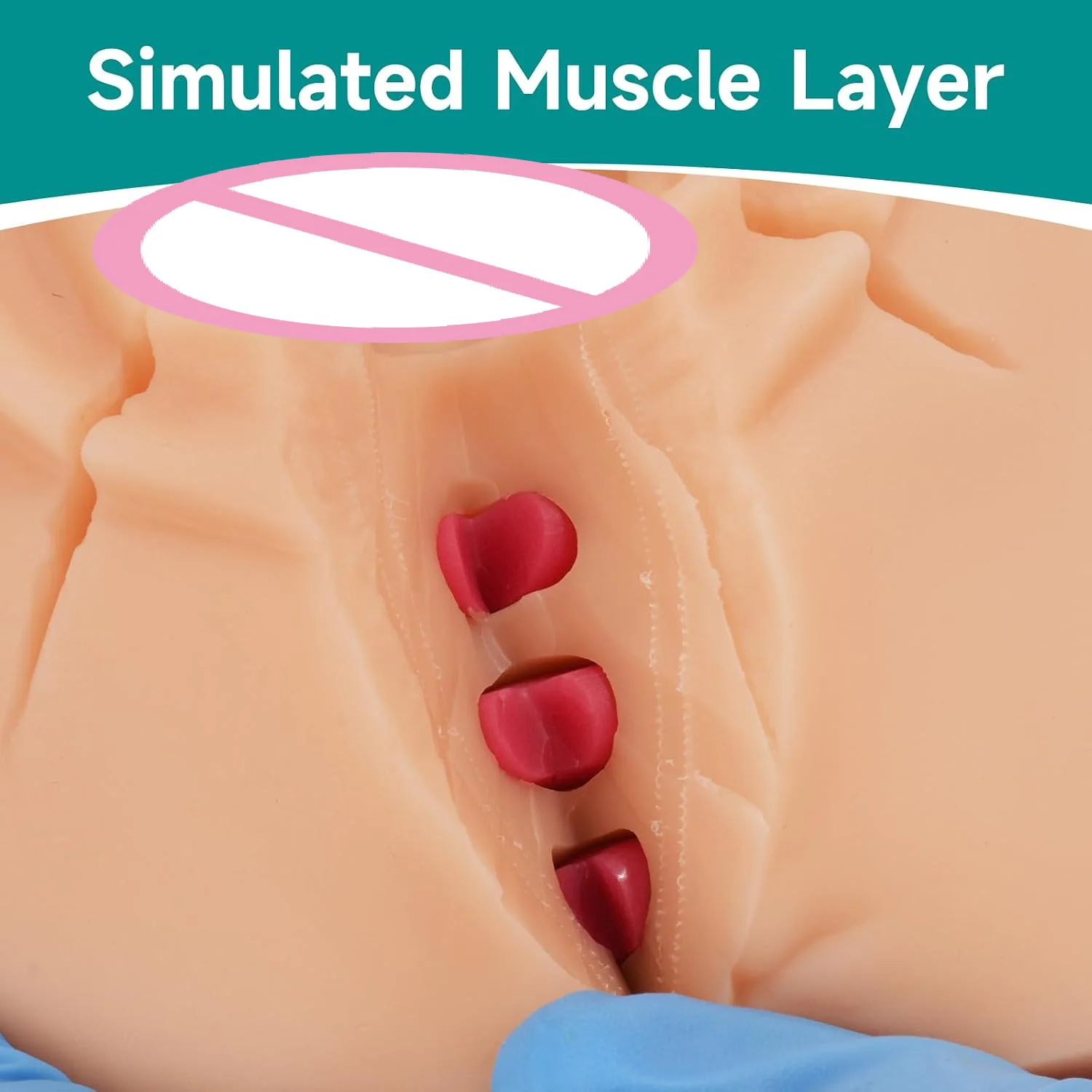 Reusable Episiotomy Suturing Trainer Model Multi-Incision Repair Layered Closure Knot Tying Practice for Midwifery Medic Student