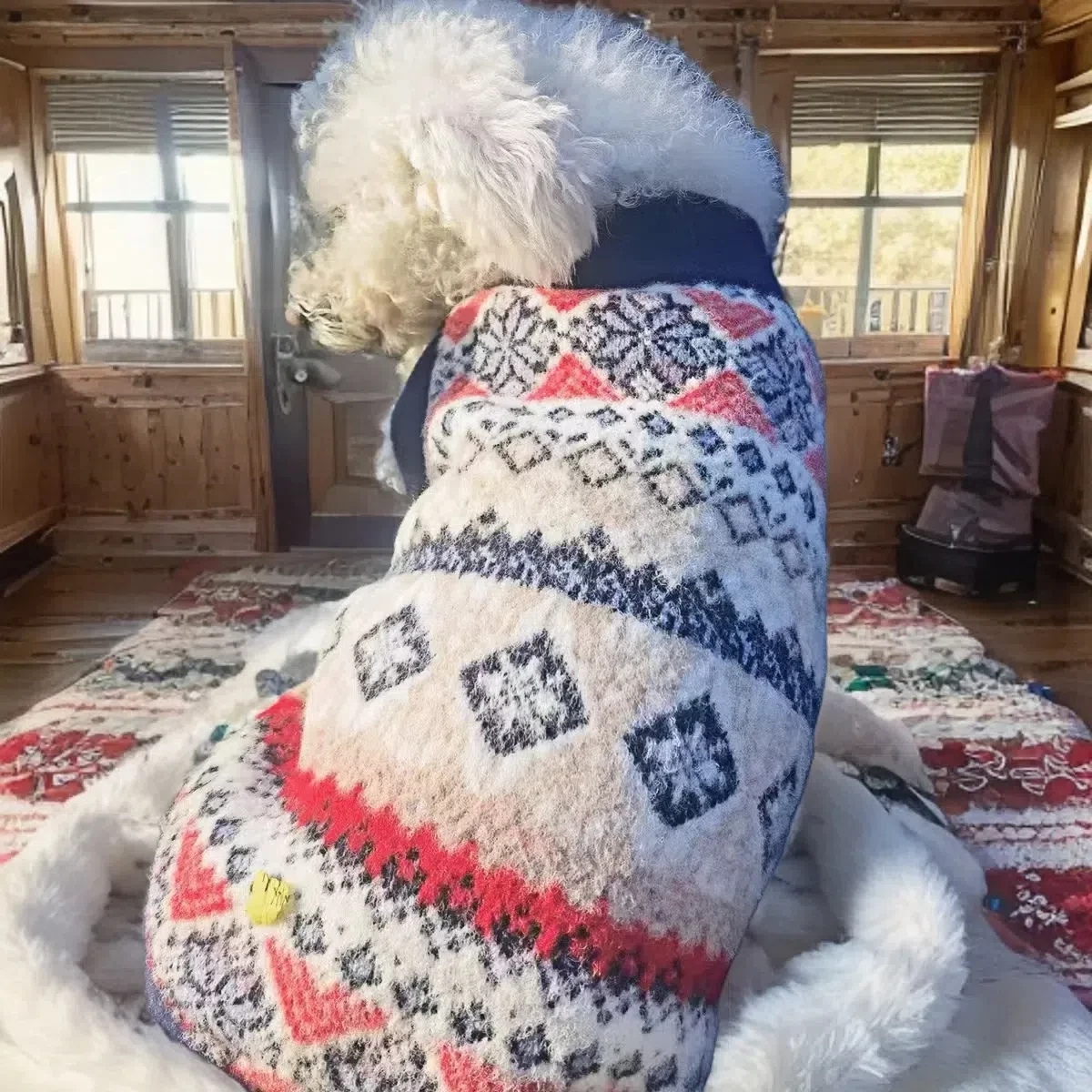 CastlePet, suéter navideño para perros, suéter azul de mezcla de chenilla para perros y gatos con copos de nieve, jersey de cachemira de visón para mascotas, S-XXL