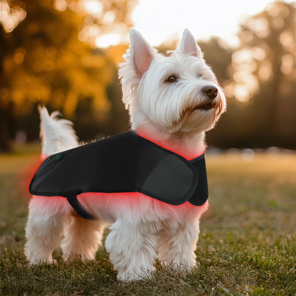 New LED red dog clothes, animal therapy wraps, dog clothes