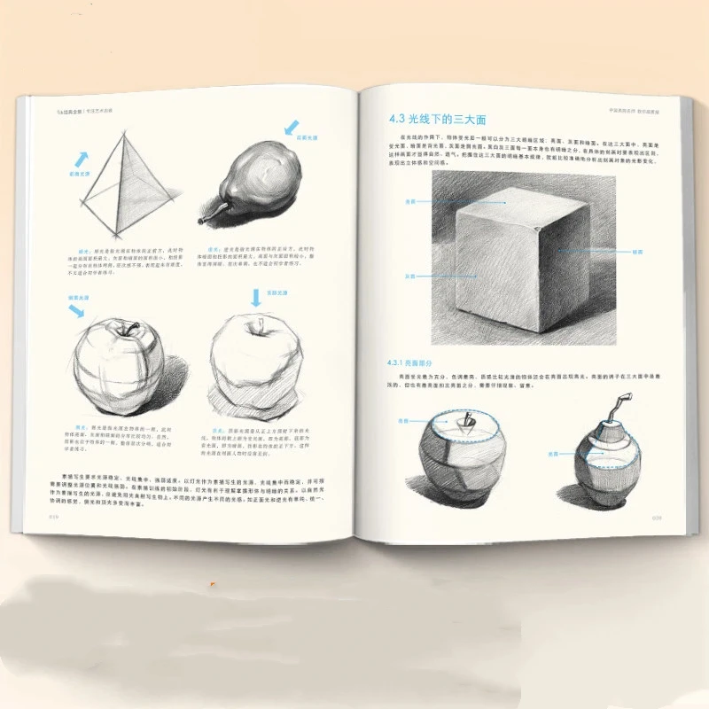Afbeelding 5: Schetsbasis-tutorial Tekenboek Zero-based Beginners Leren schilderen Zelfstudie Kleur Basis-tutorial Verftechniekenboek