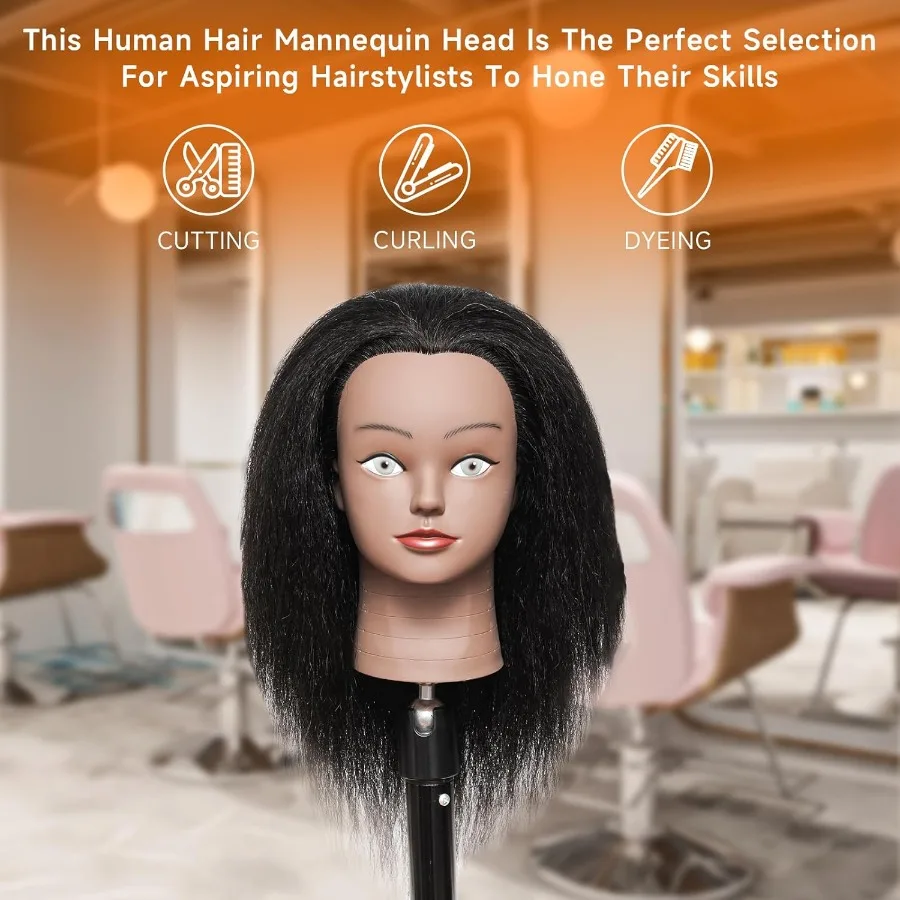 رأس عارضة أزياء احترافية مقاس 14 بوصة مع 100 شعر بشري حقيقي لتدريبات الصالونات وتضفير وتدريبات القطع مجانًا