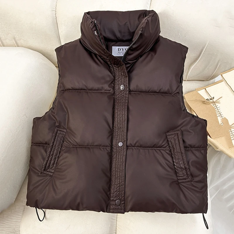 Autumn Winter Sleeveless Parka for Women Korean Stand Collar Down Cotton Waistcoat Woman 2025 Zipper-Up Puff Warm Vests Female