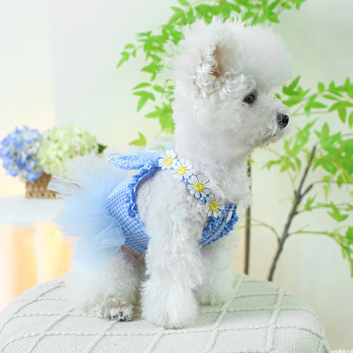 1PC Pet Clothing Cat Spring/Summer Thin Blue Rabbit Ear Gauze Dress Princess Dress Suitable for Small and Medium Dogs